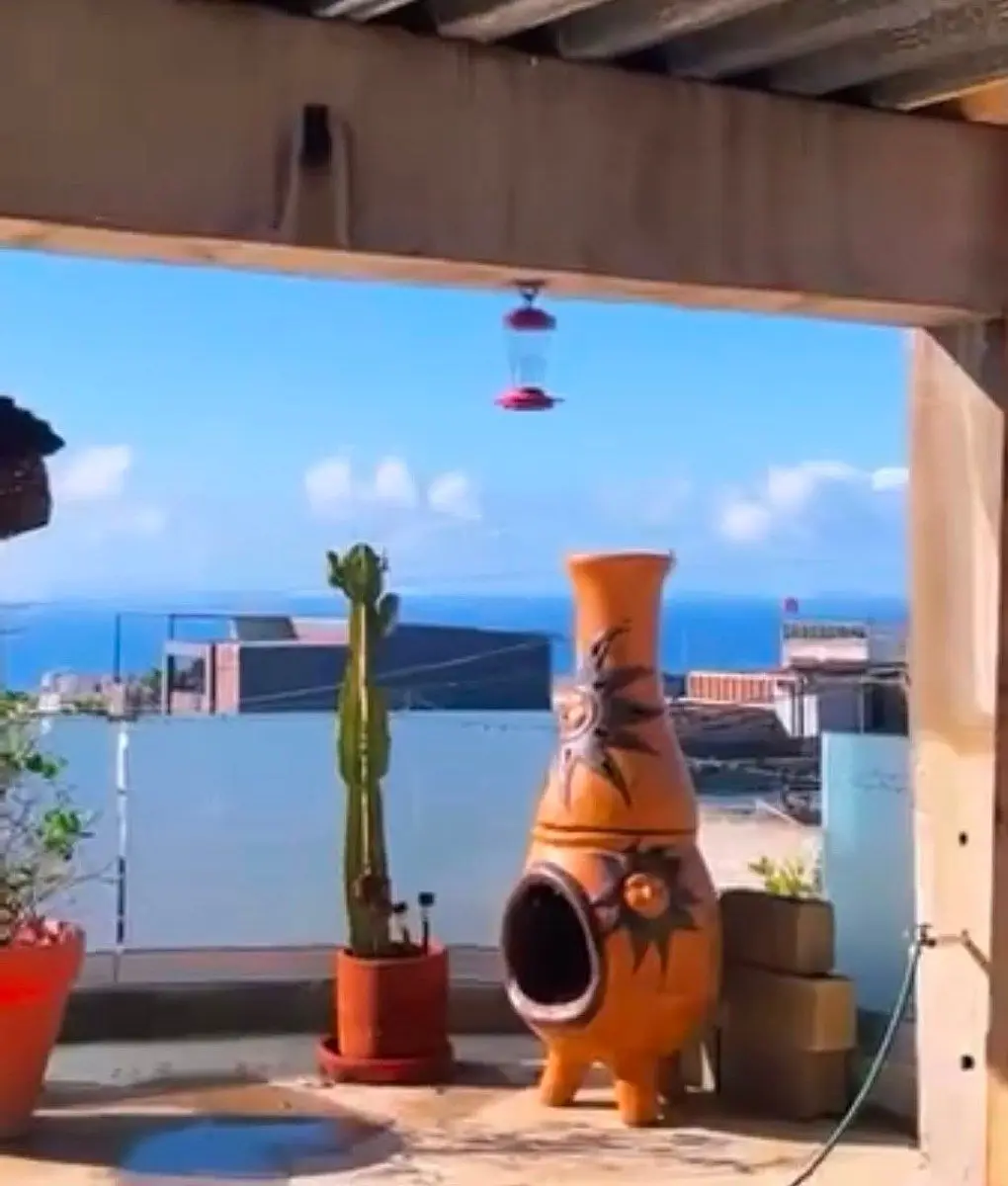 Casa en Renta en Vista al Mar — foto 4