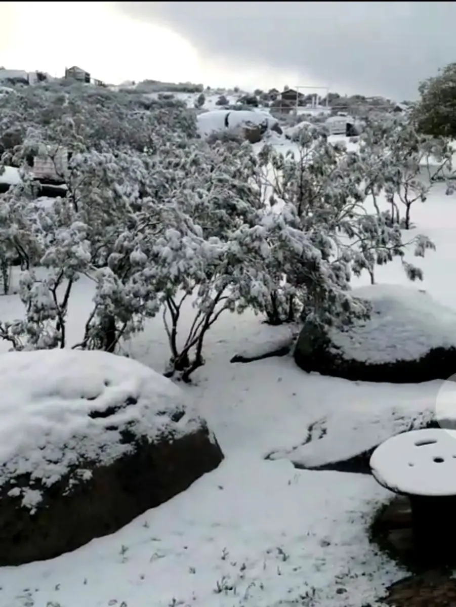 Terreno campestre