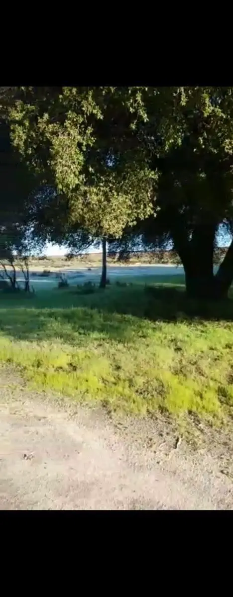 Terreno campestre — foto 5