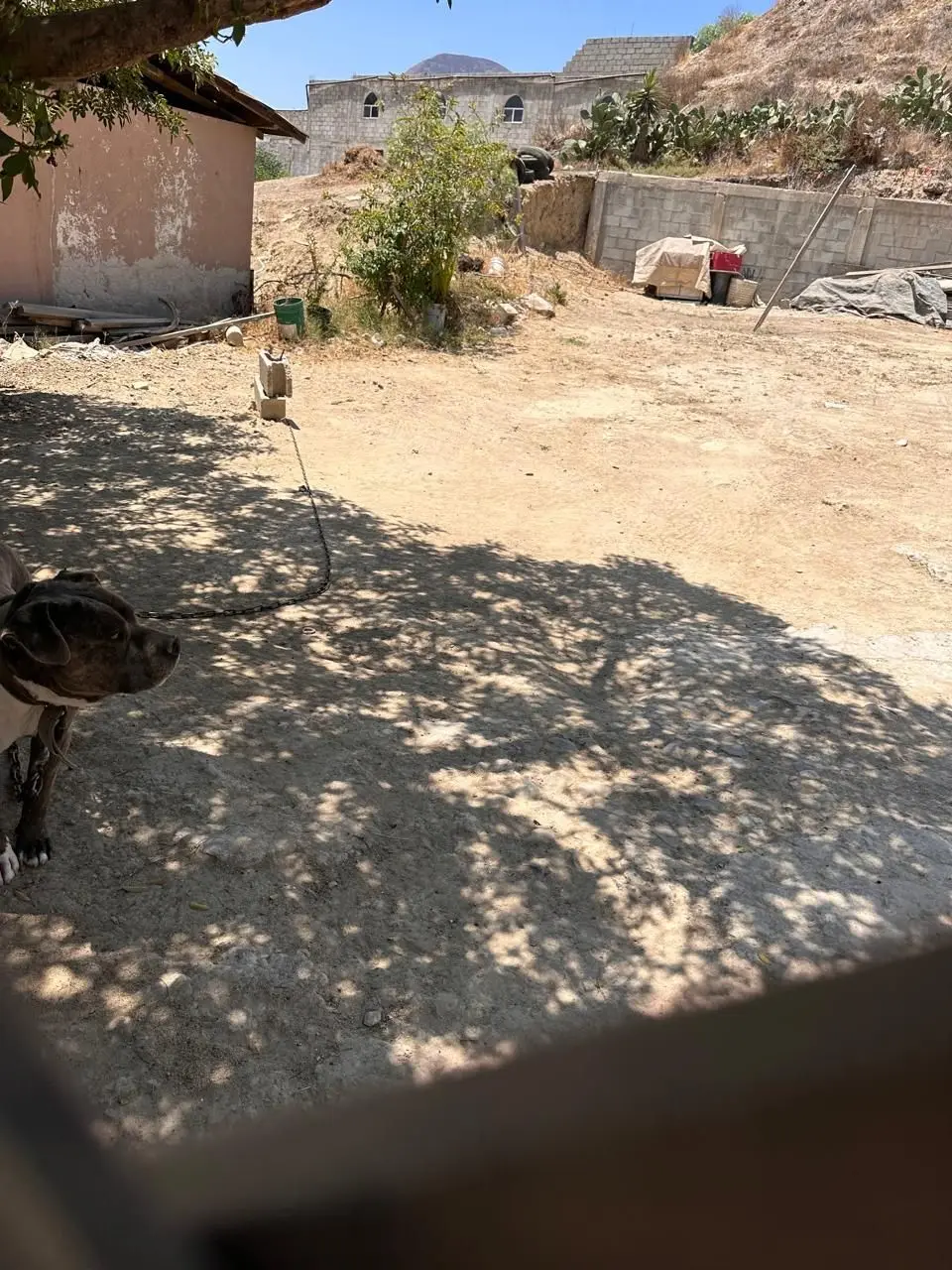 Terreno en Colonia del Niño — foto 5