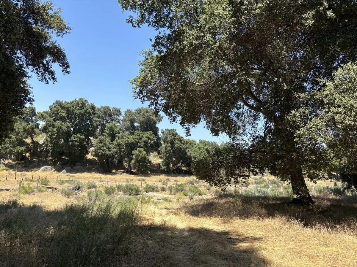 Venta de Terreno Campestre en Santa Verónica — foto 2
