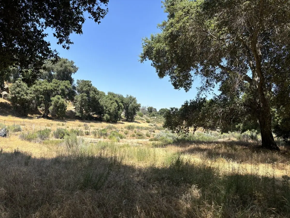Venta de Terreno Campestre en Santa Verónica — foto 4