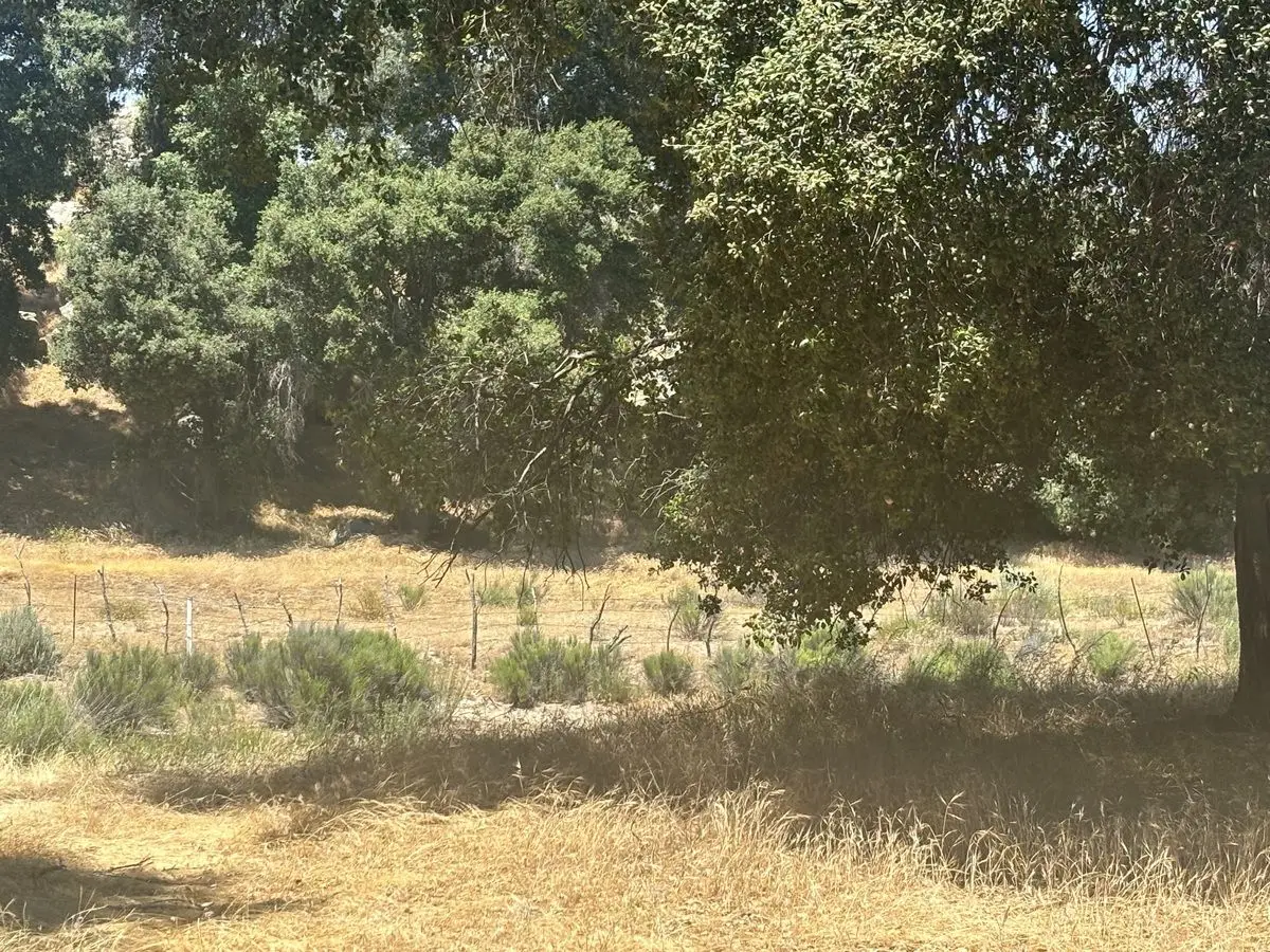 Venta de Terreno Campestre en Santa Verónica — foto 6