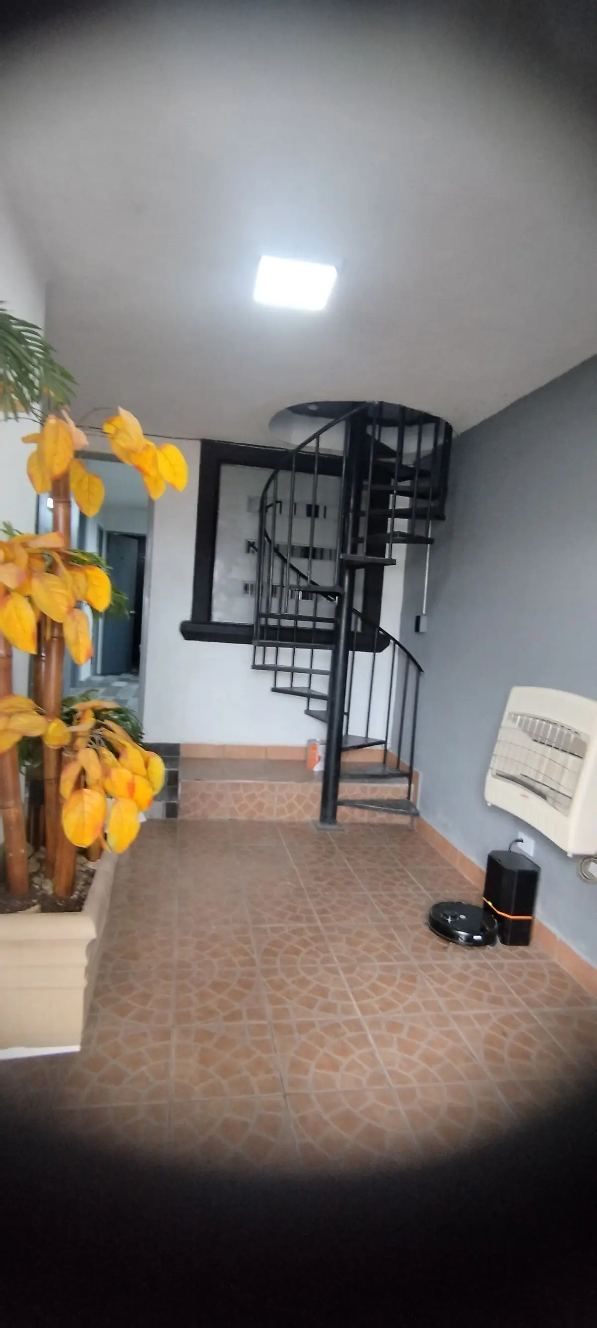Oficina en venta en Salinas Victoria — foto 4
