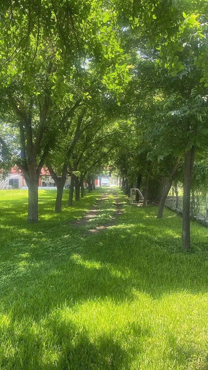 Quinta en Dr González — foto 6