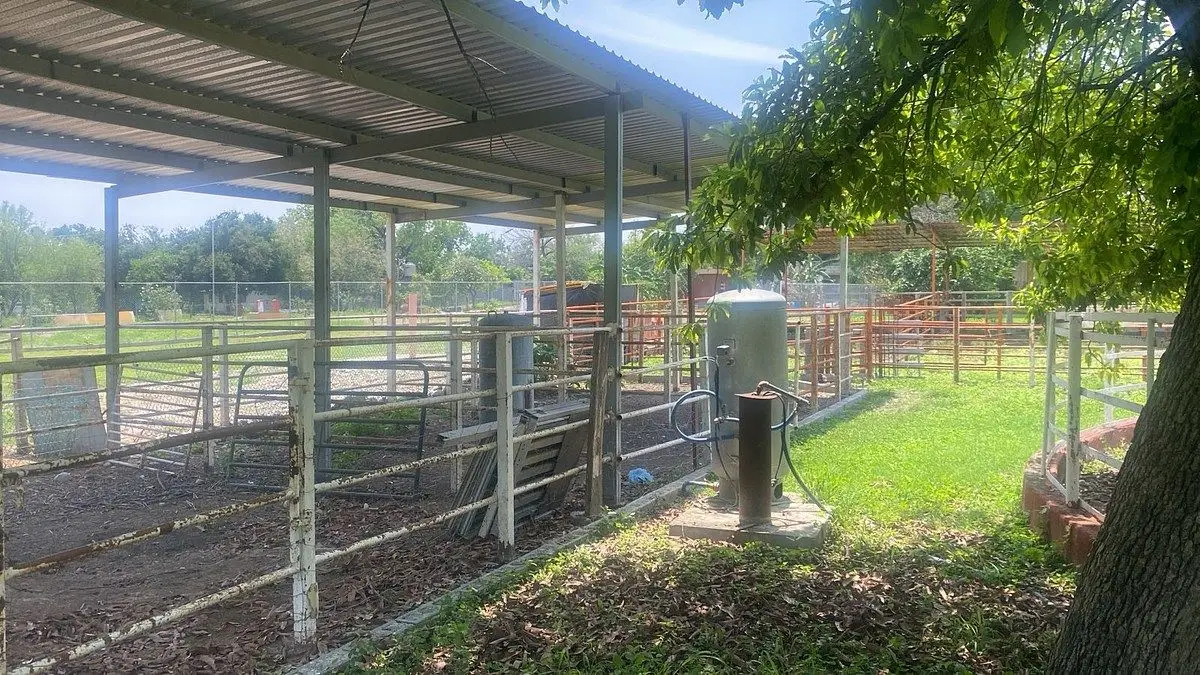 Quinta en Dr González — foto 7
