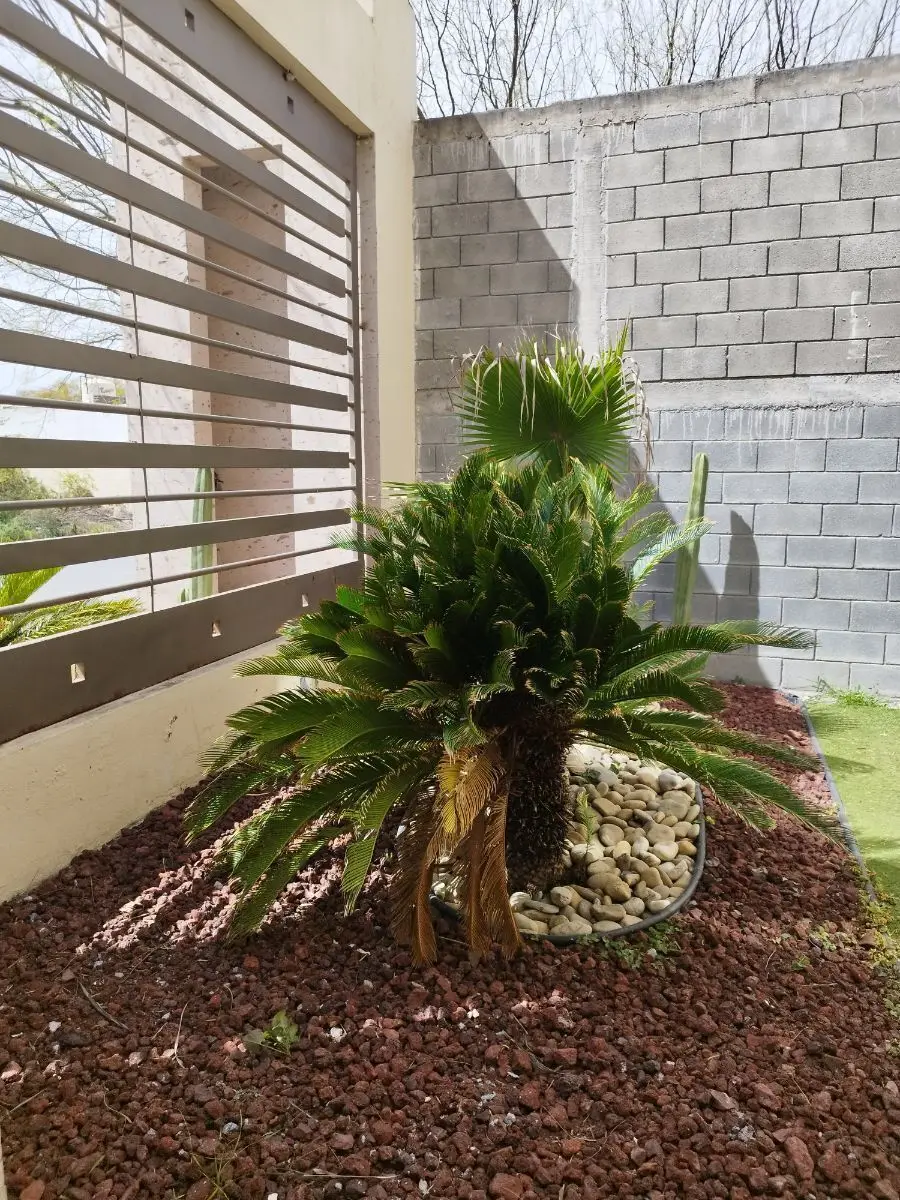 Quinta en Portal del Norte — foto 2