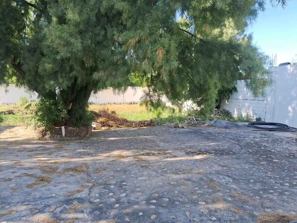 Quinta en Salinas — foto 3