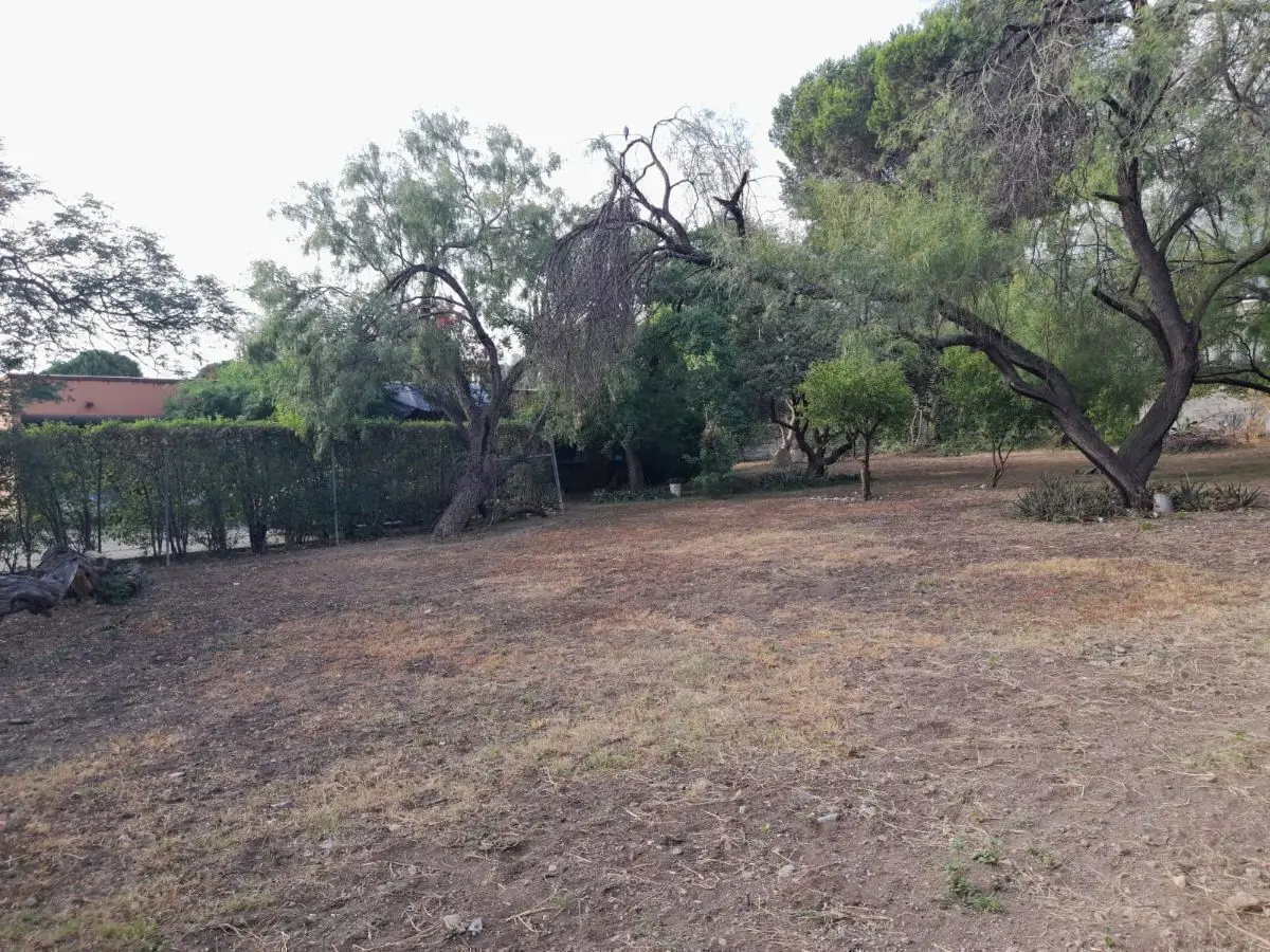 Terreno en esquina en San Pedro — foto 4