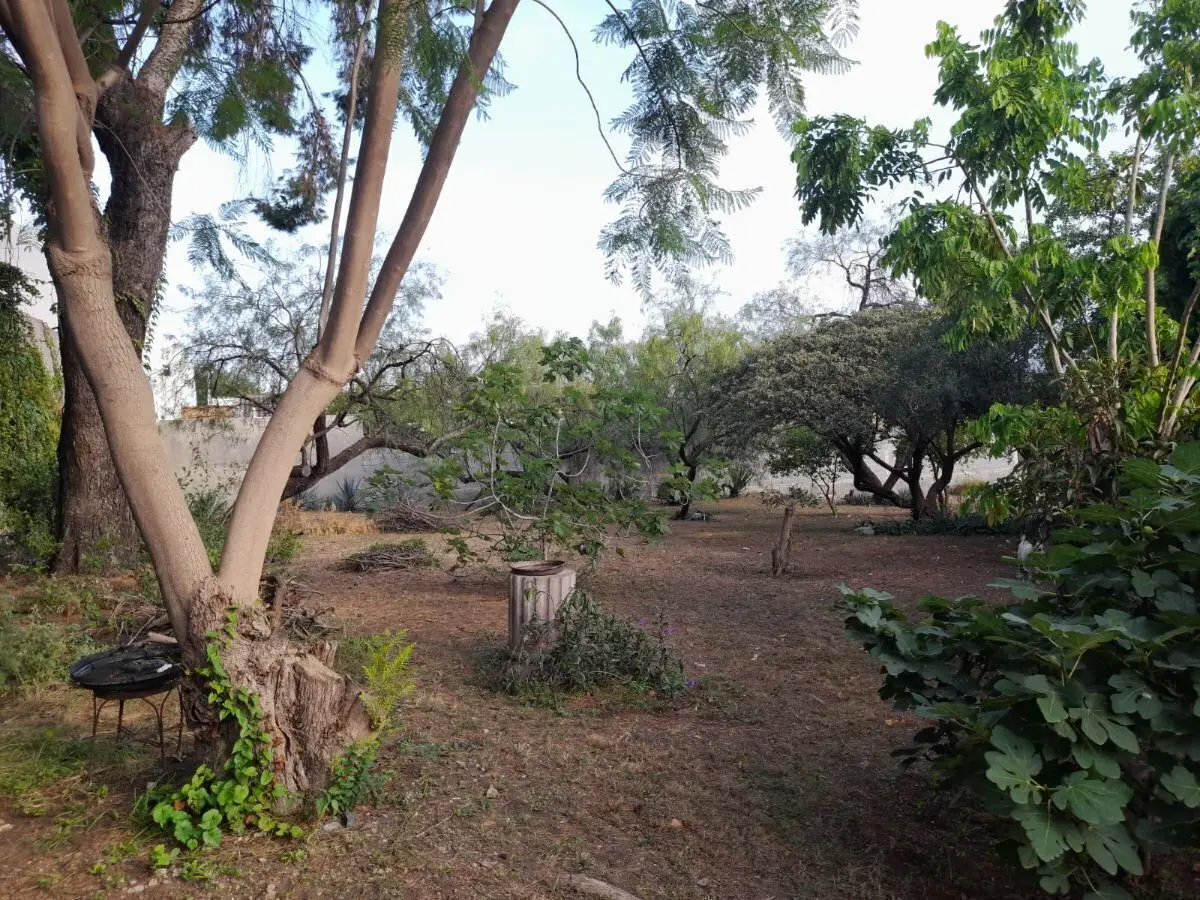 Terreno en esquina en San Pedro — foto 6