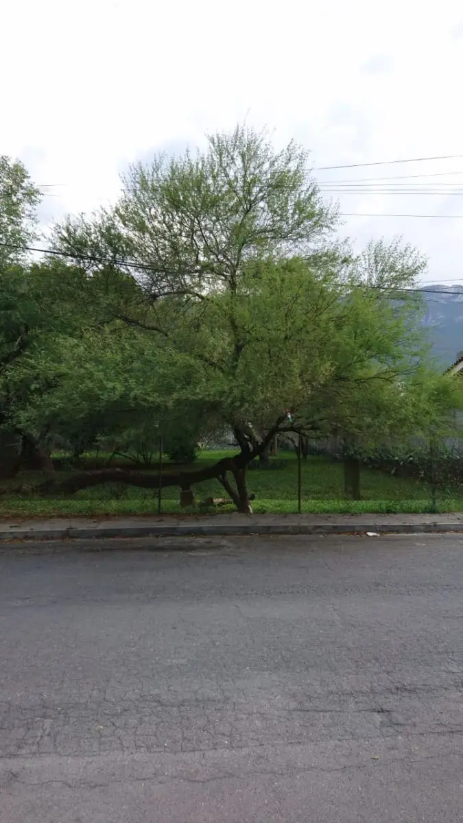 Terreno en esquina en San Pedro — foto 5