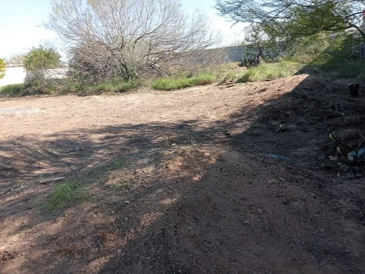 Terreno en portal de Zuazua — foto 3