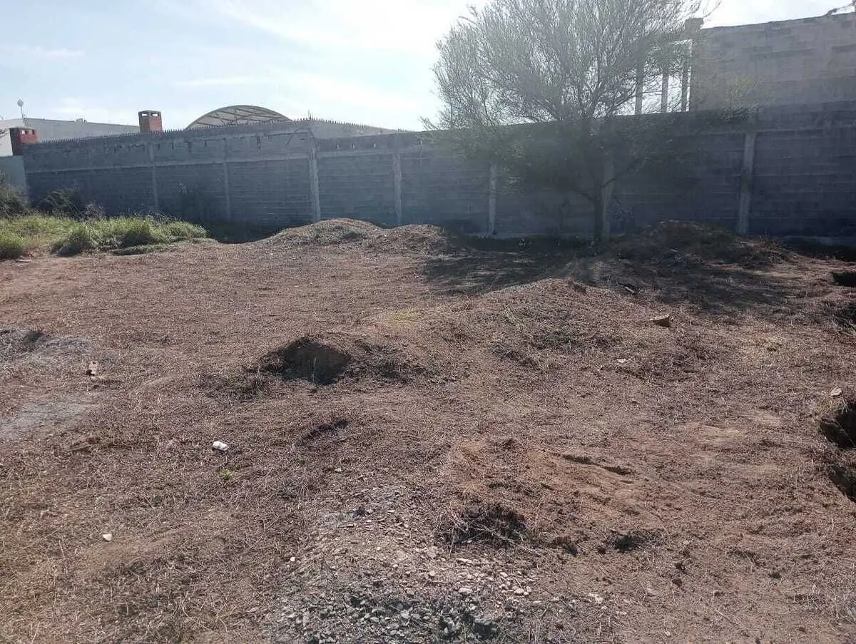Terreno en portal de Zuazua — foto 4