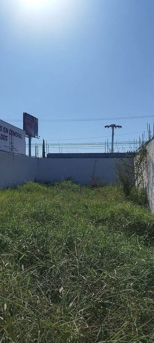 Terrenos en Venta o renta en Av Concordia — foto 3