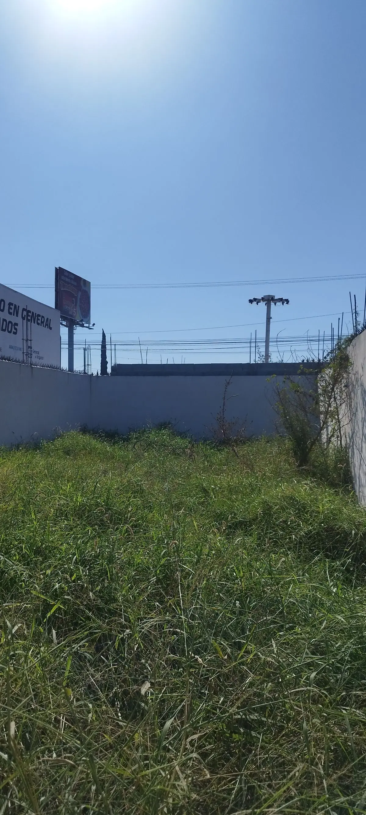 Terreno en renta en Av Concordia — foto 3
