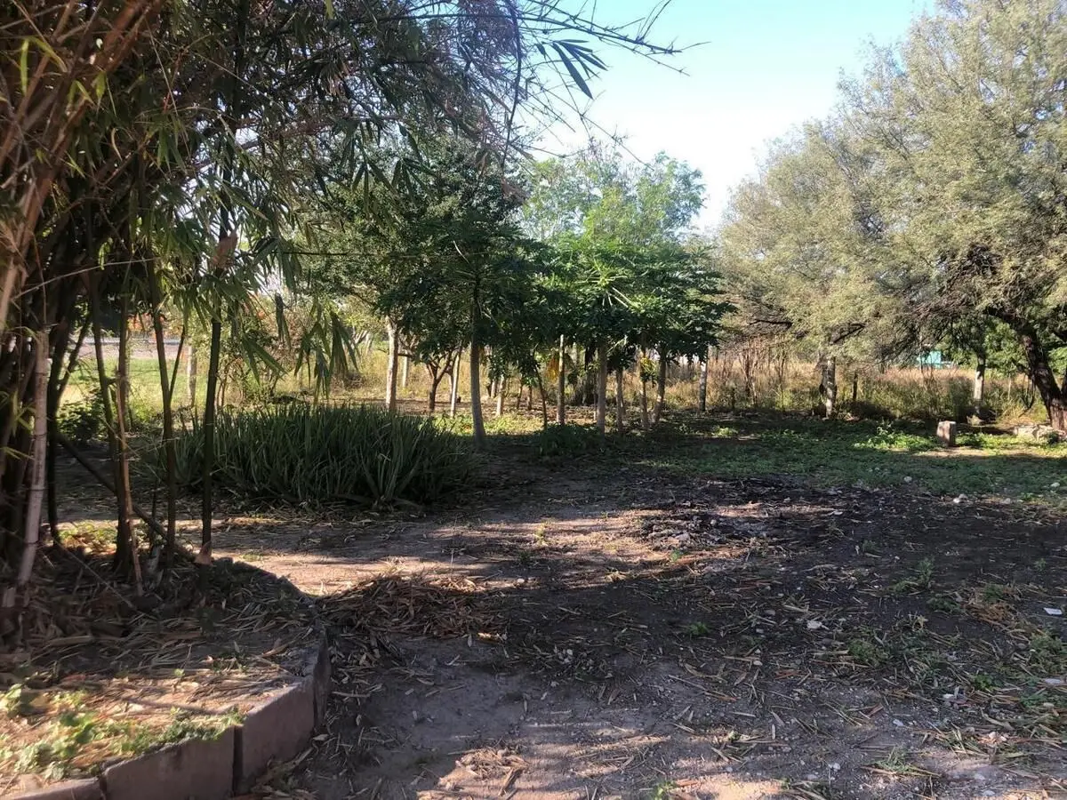 Terreno en Venta en CdVictoria — foto 5