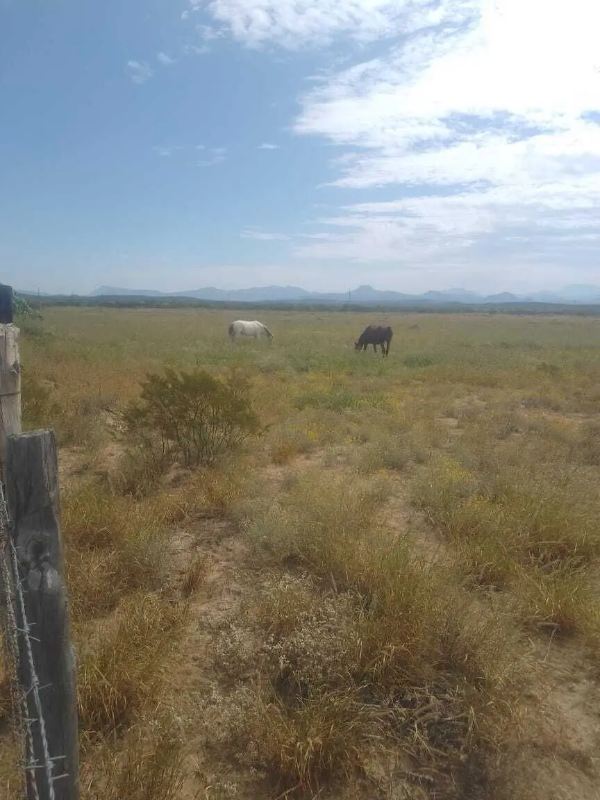 Terreno en venta en Ramos Arizpe — foto 3