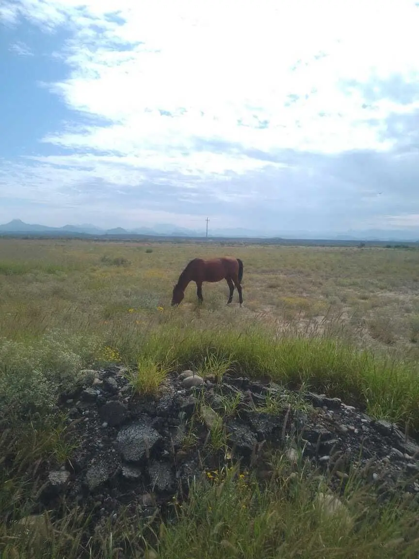 Terreno en venta en Ramos Arizpe — foto 6