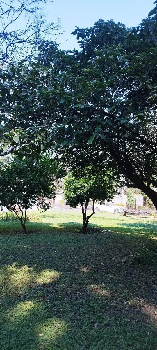 Terreno en venta en San Pedro Garza García — foto 4