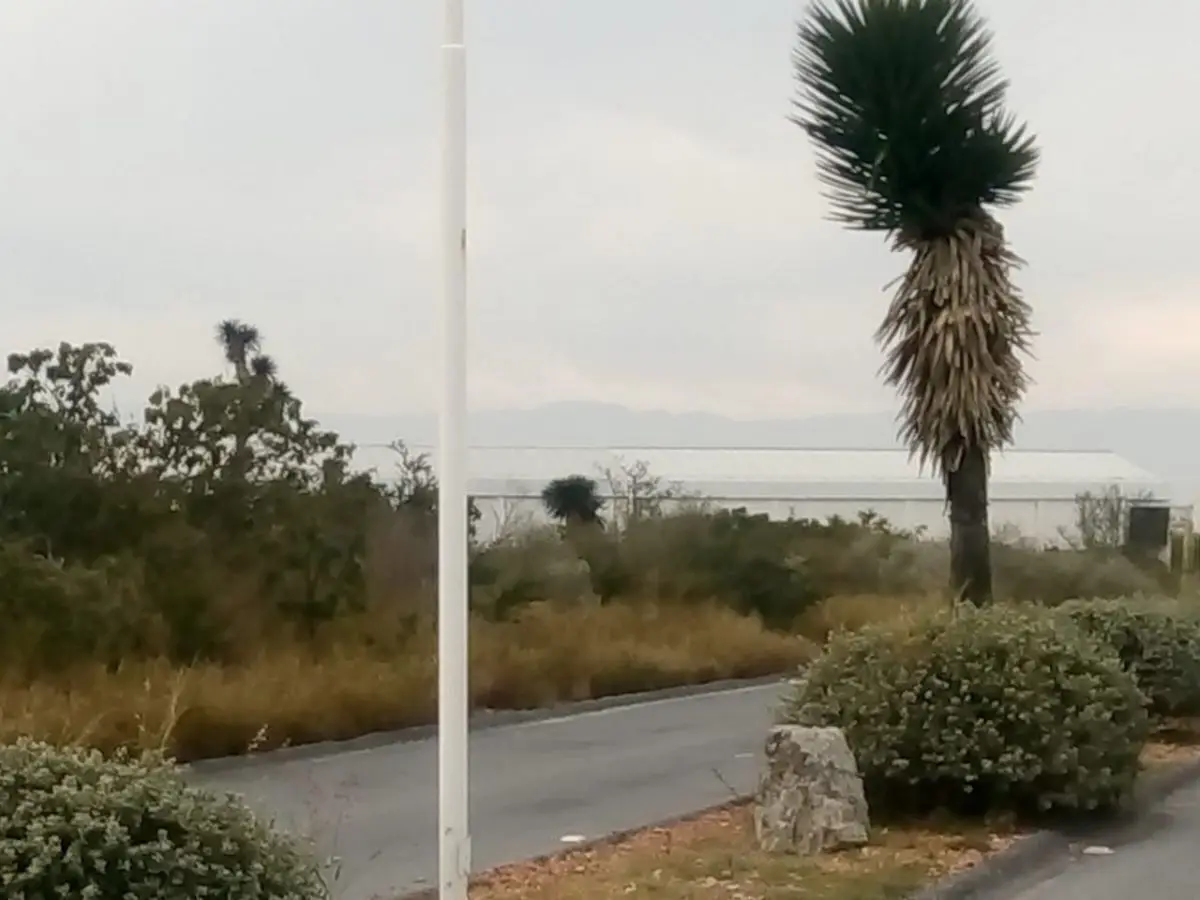 Terreno en Zuazua — foto 2