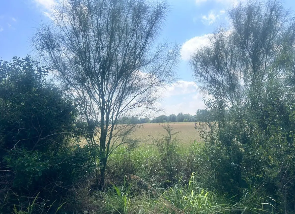 Terreno Pesquería NL — foto 2
