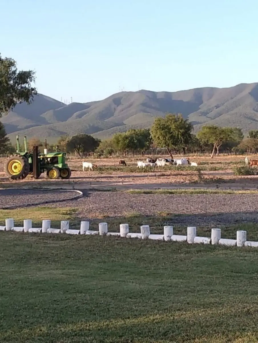 Terrenos campestres en San Bartolo — foto 5