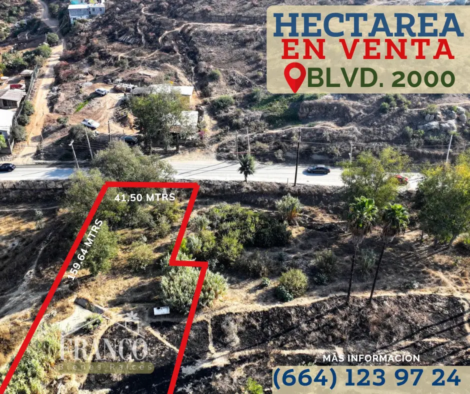 ‼️Hectárea muy bien ubicada por el Blvd 2000 ‼️ — foto 3
