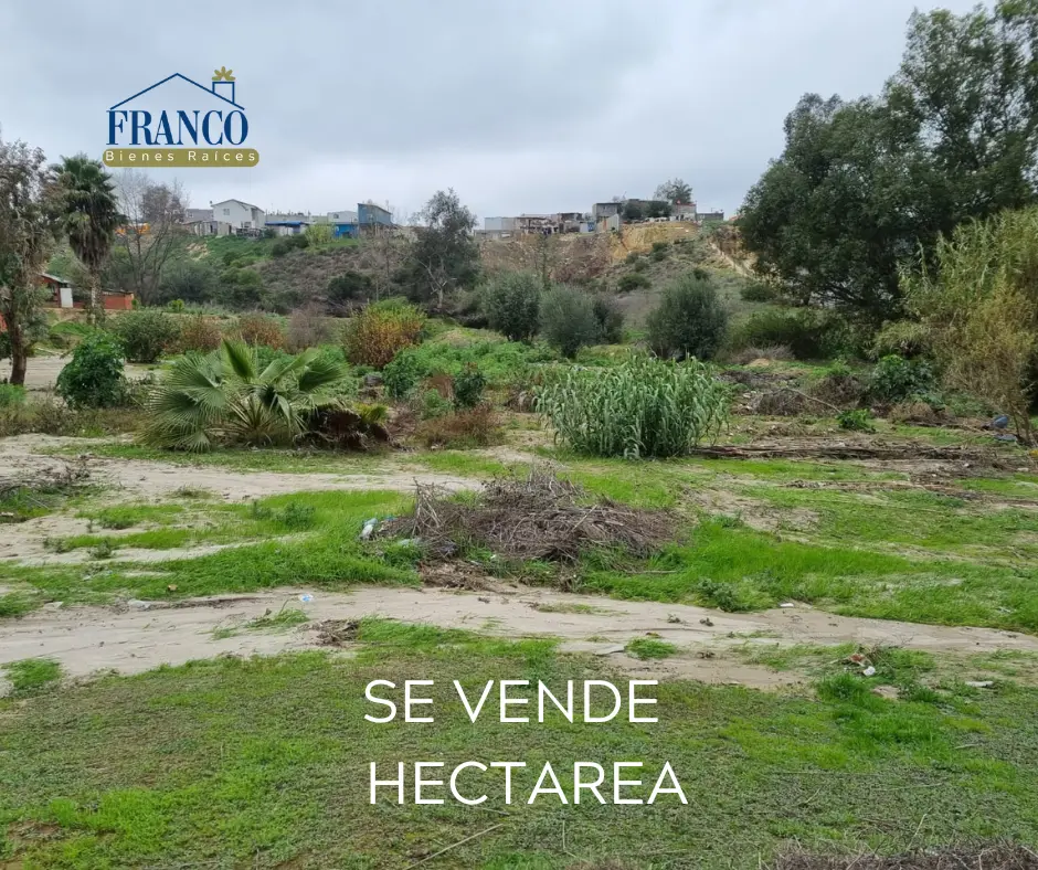 ‼️Hectárea muy bien ubicada por el Blvd 2000 ‼️ — foto 4