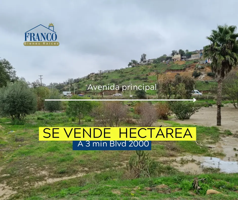 ‼️Hectárea muy bien ubicada por el Blvd 2000 ‼️ — foto 6