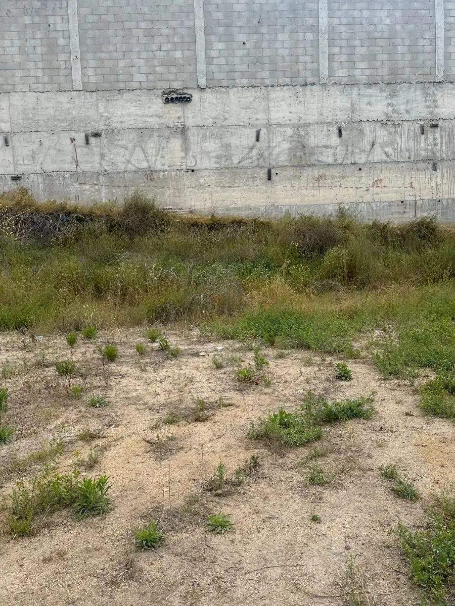 Terreno con vista al mar en Santa Fe — foto 6