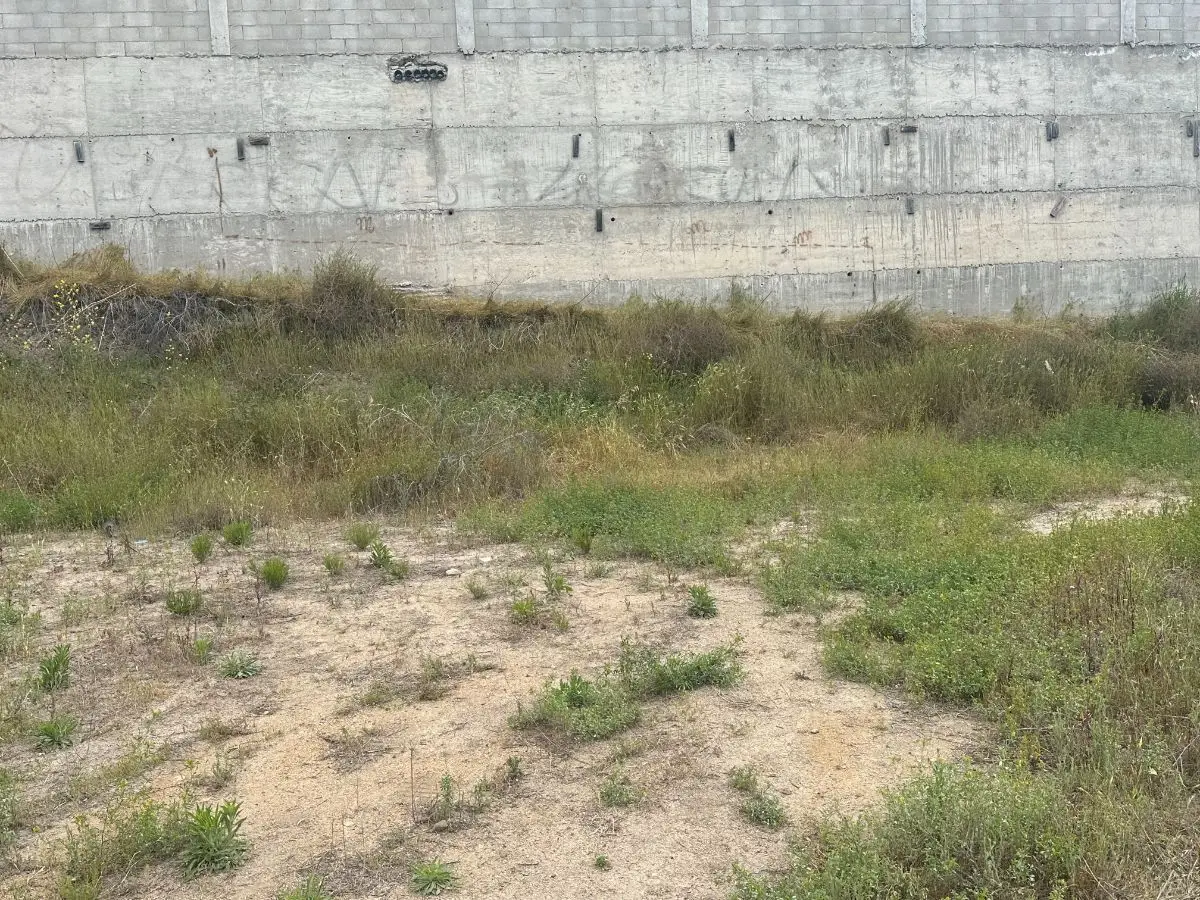 Terreno con vista al mar en Santa Fe — foto 7