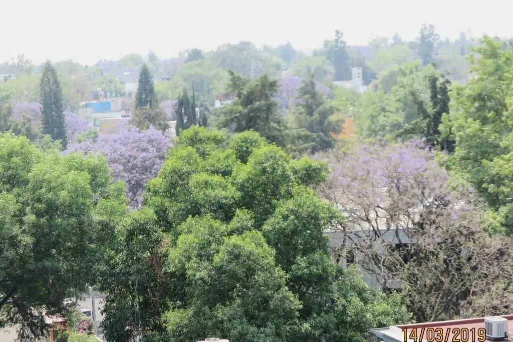 Penthouse en Venta en Lomas de Chapultepec — foto 5