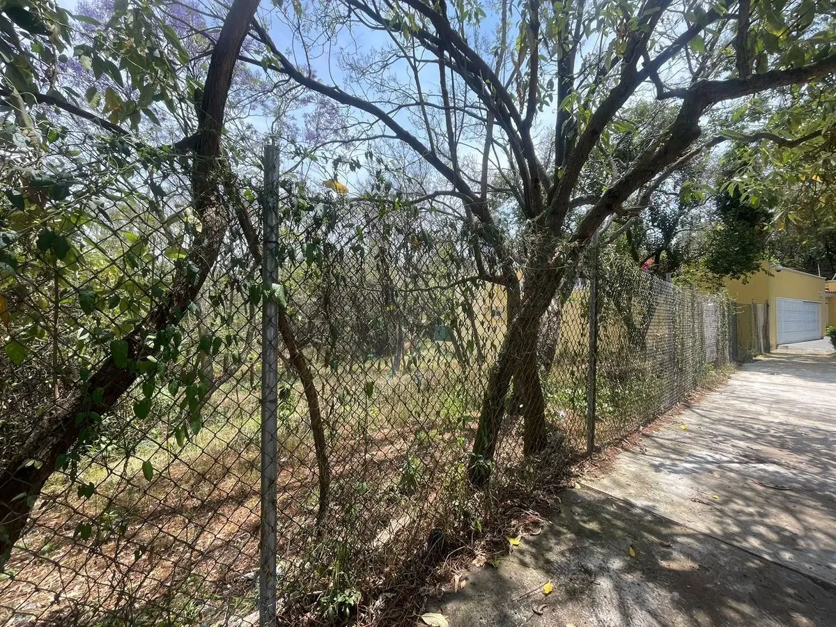 Terreno en Venta en Lomas de Chapultepec — foto 2