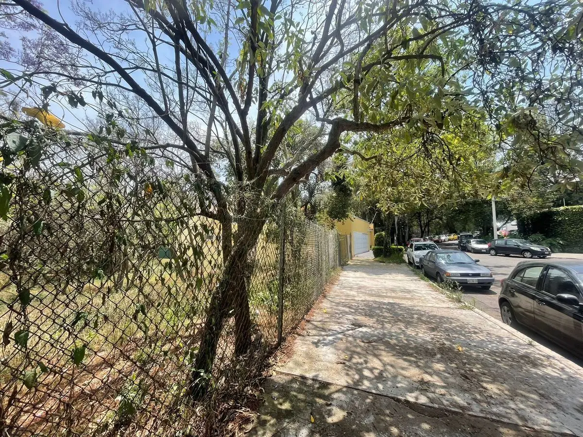 Terreno en Venta en Lomas de Chapultepec — foto 3