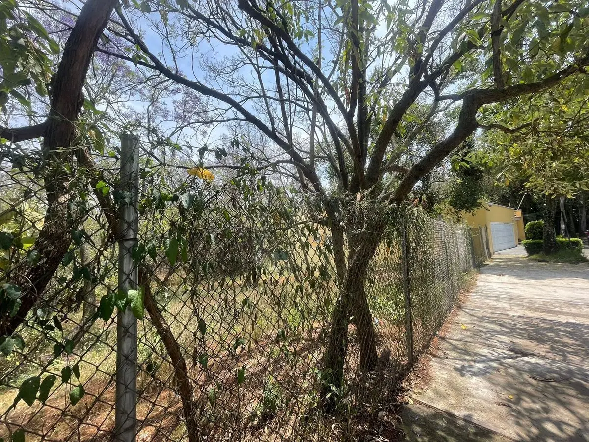 Terreno en Venta en Lomas de Chapultepec — foto 4