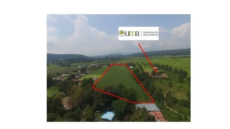 Terreno en Venta en Valle de Bravo — foto 3