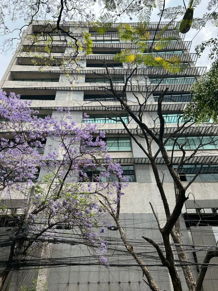 Oficina en Renta en Polanco — foto 4
