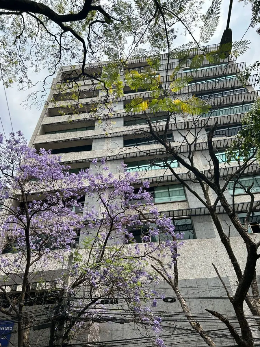 Oficina en Renta en Polanco — foto 5