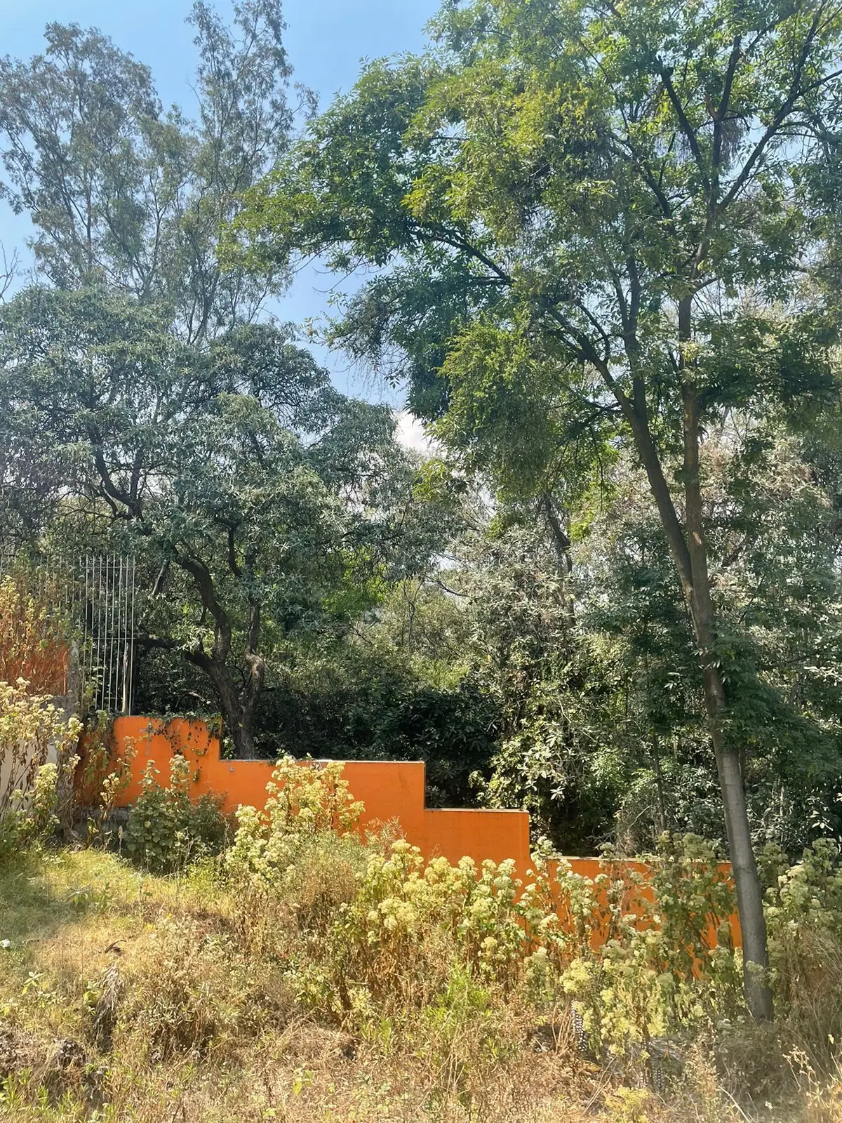 Terreno en Venta en Lomas Altas — foto 2