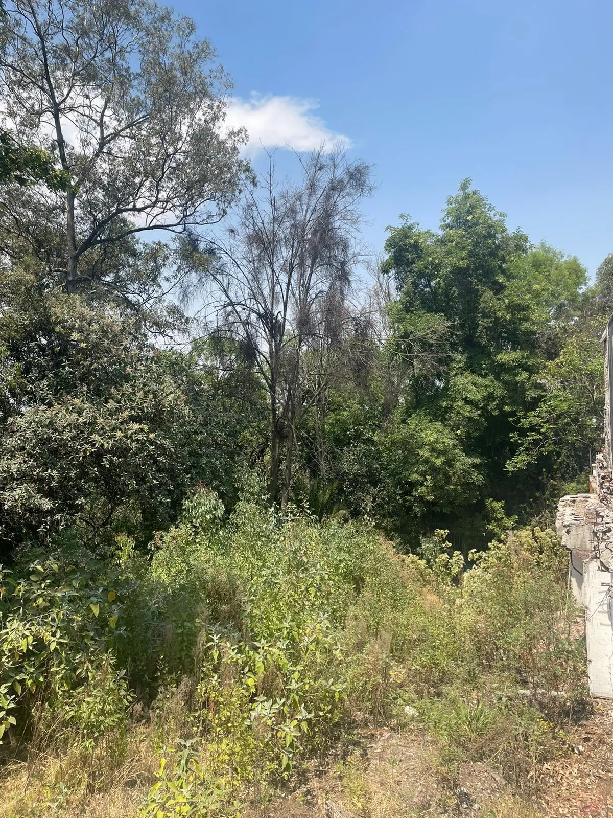 Terreno en Venta en Lomas Altas — foto 3