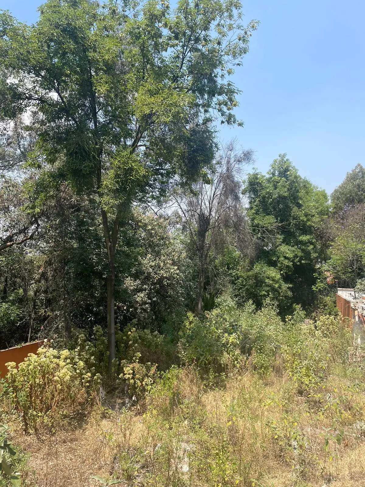 Terreno en Venta en Lomas Altas — foto 4