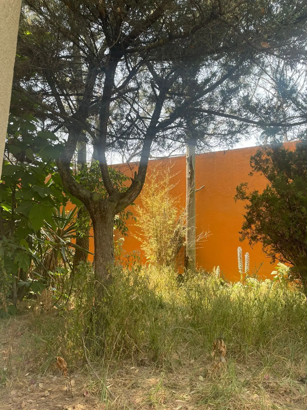 Terreno en Venta en Lomas Altas — foto 5