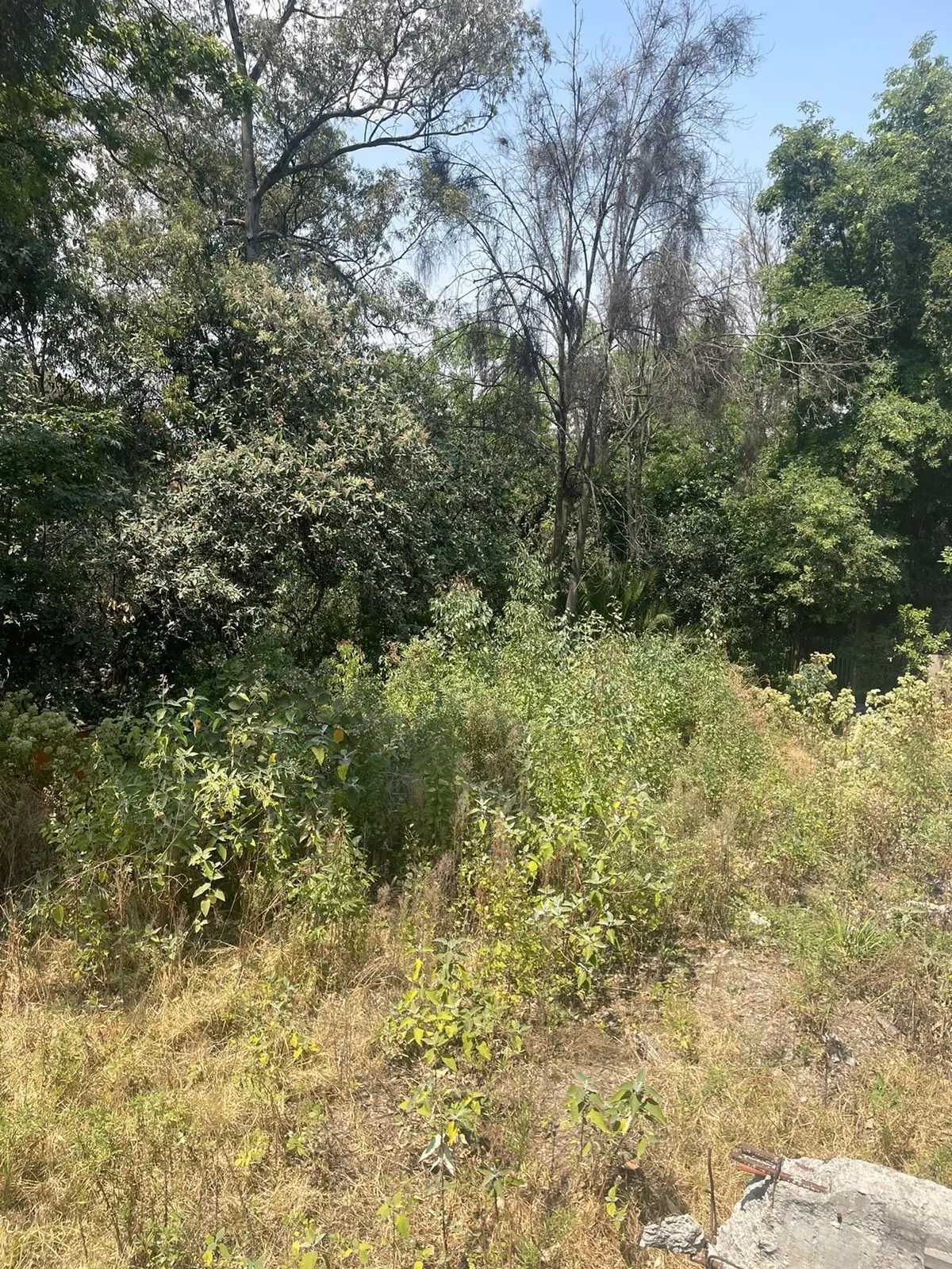 Terreno en Venta en Lomas Altas — foto 6