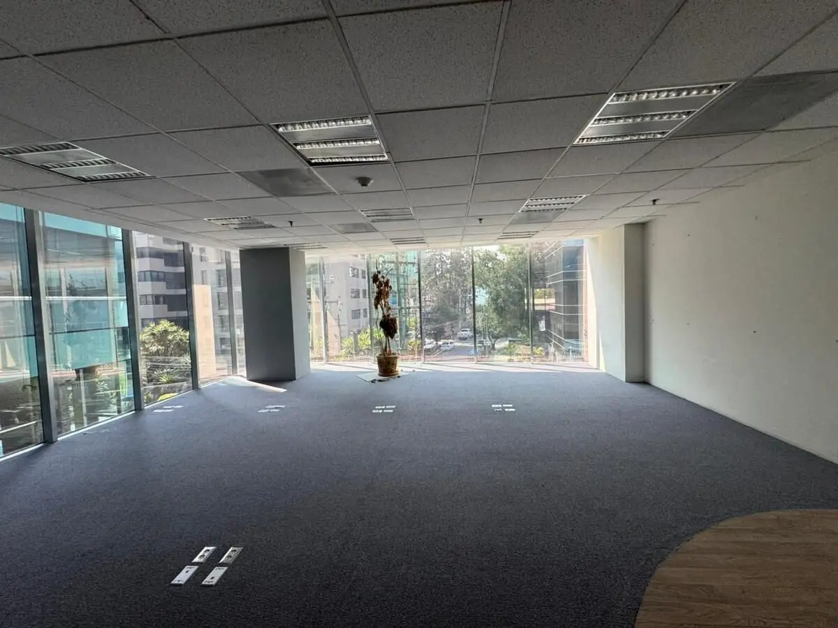 Oficina en Renta en Lomas de Chapultepec — foto 4