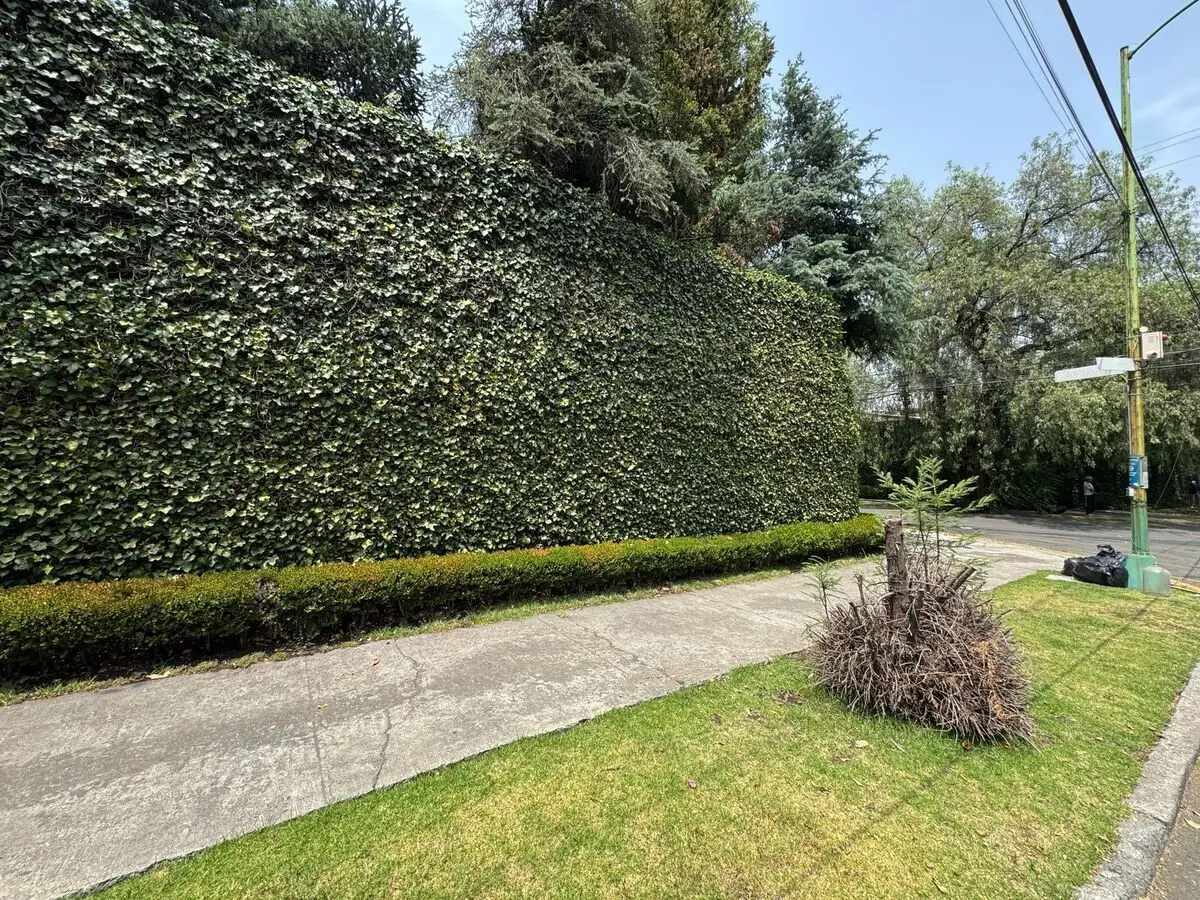 Casa en Venta en Lomas de Chapultepec — foto 6
