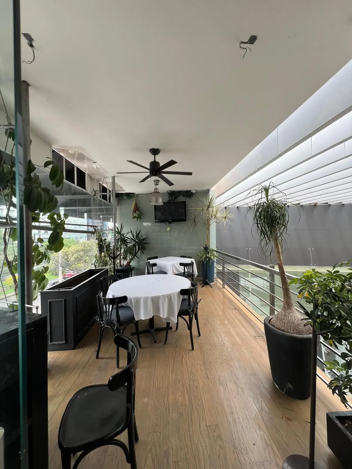 Local Comercial en Renta en Lomas de Chapultepec — foto 4