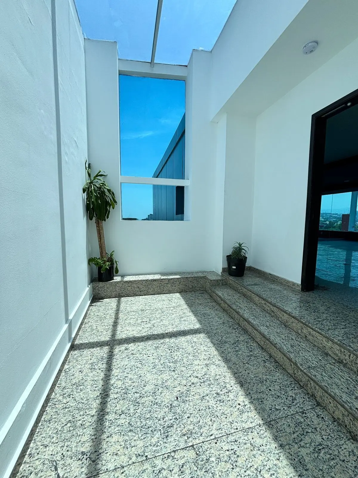 Oficina en Renta en Hipodromo Condesa — foto 4