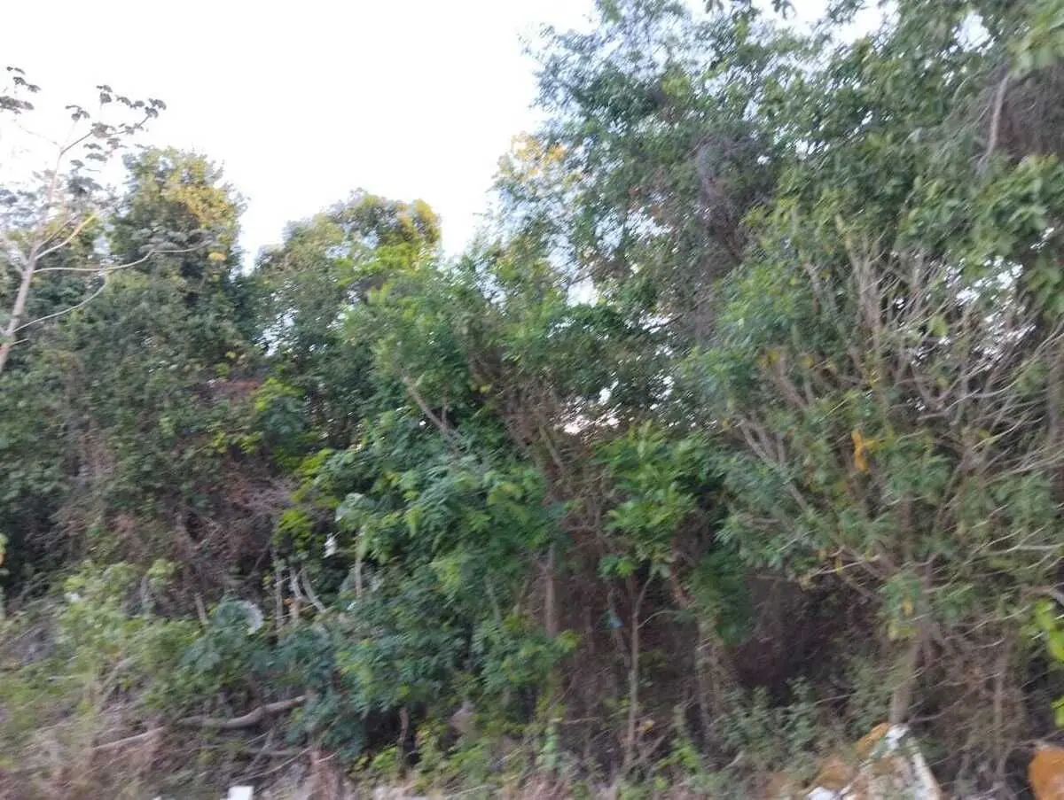 Terreno en Venta en Playa del Carmen — foto 3