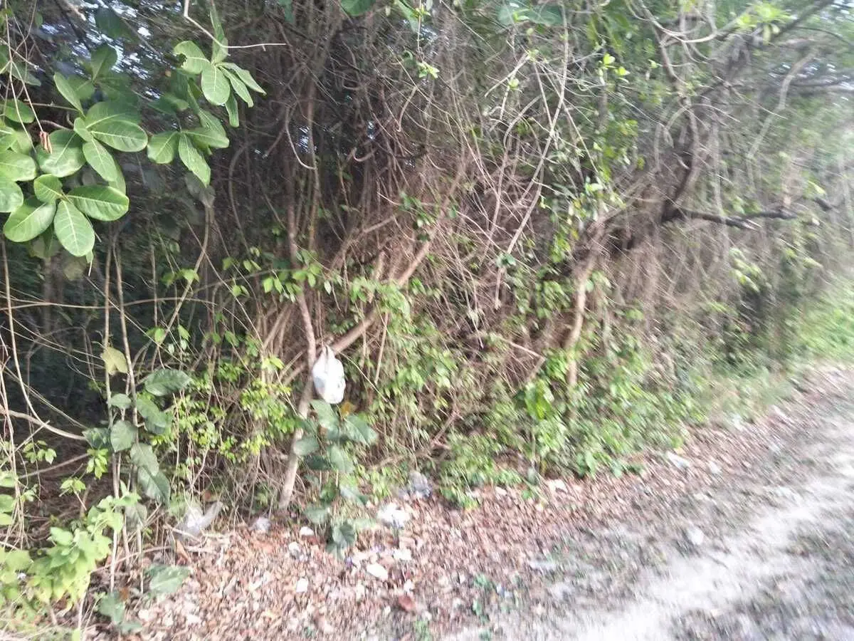 Terreno en Venta en Playa del Carmen — foto 4