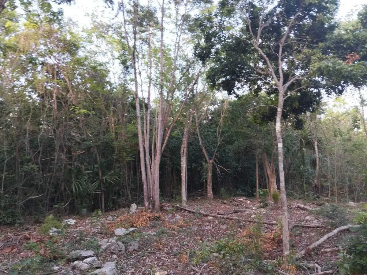 Terreno en Venta en Playa del Carmen — foto 5